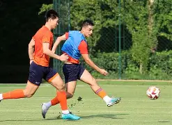 爱游戏-山东泰山比赛直播在线直播