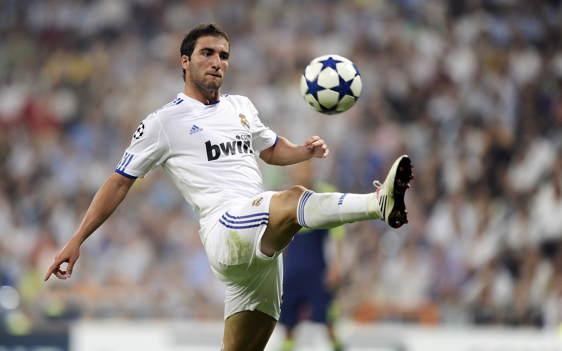 广东宏远签下超级外援